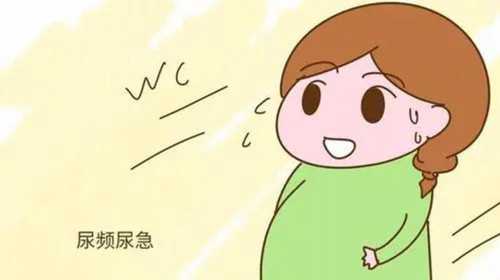 染色体3倍体做试管[三倍体一定有三个染色体组吗]