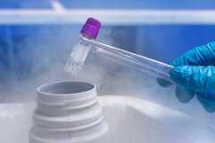 借卵生男孩-男性备孕能用达克宁吗