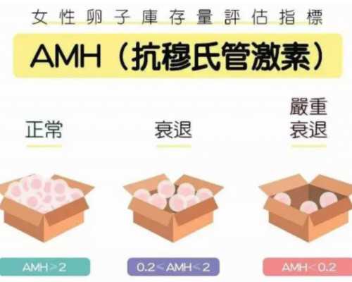 输卵管有积液怎么能消掉-高薪请代妈