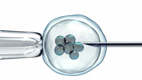 为什么医生不建议查染色体,怀孕45天抽血查染色体准不准确-供卵代怀咨询 为什么医生不建议查染色体,怀孕45天抽血查染色体准不准确-供卵代怀咨询