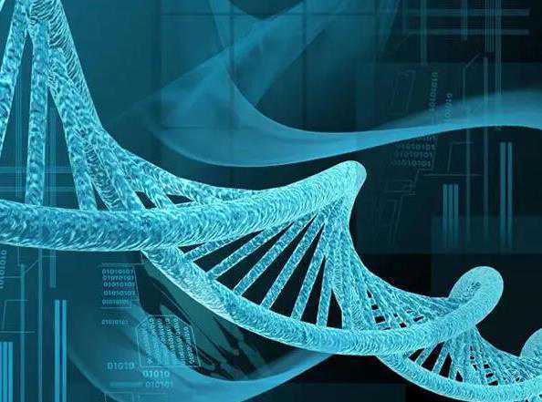 移植后想吐：移植冻胚21天反胃吃点啥-供卵包生