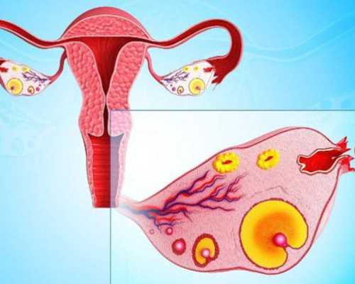 代怀多少钱-广州大学城中医院试管婴儿,广州大学城中医院挂号