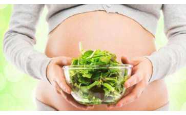 别瞎听谣言！试管取卵后吃葡萄真不影响胚胎移植-供卵机构电话