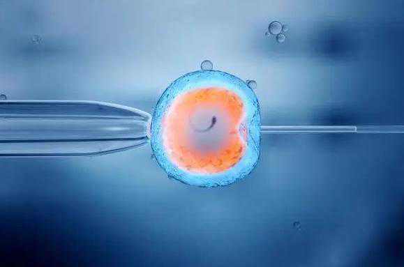 借卵生男孩-人工授精和试管婴儿疼吗