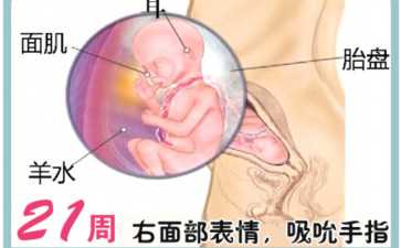 纹眉过程中是否会对身体有害？纹眉对备孕的影响？