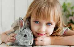 2026年广州试管婴儿费用解析:三次成功需要多少预算? 2026年广州试管婴儿费用解析:三次成功需要多少预算?