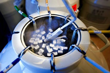 广州试管医院前三名有哪些？附详成功率费用清单-捐卵医院地址