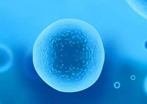 借卵生男孩-广州单身女性试管（单身女子试管婴儿）