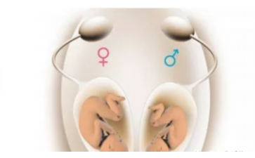 正规捐卵-移植后腹水会不会反复发作?移植后腹水怎么恢复快? 正规捐卵-移植后腹水会不会反复发作?移植后腹水怎么恢复快?