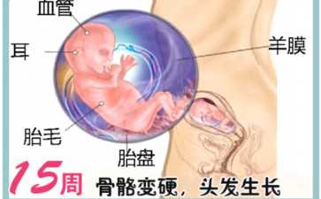 做试管有宫寒成功率高吗！做试管宫寒影响着床吗！-助孕机构招聘官网