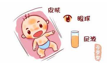 广州做试管婴儿_怎样提高试管婴儿一次成功几率?-供卵价格 广州做试管婴儿_怎样提高试管婴儿一次成功几率?-供卵价格