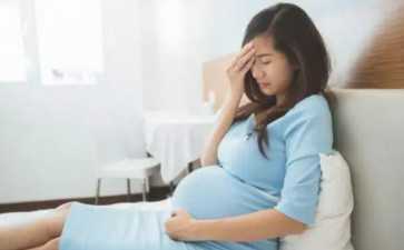 关于试管优质胚胎养囊好不好?优质胚胎养囊好不好-三代试管婴儿 关于试管优质胚胎养囊好不好?优质胚胎养囊好不好-三代试管婴儿