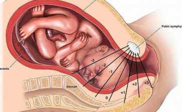 感冒期间可以做输卵管造影吗?备孕检查时机与注意事项详解 感冒期间可以做输卵管造影吗?备孕检查时机与注意事项详解