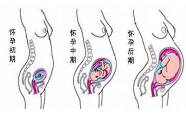 试管婴儿会体温升高吗？试管婴儿会体温升高吗？