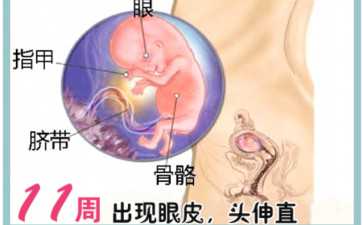 把自己訓練成小噴泉？女生所謂的小噴泉是什麼？