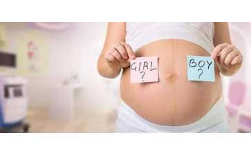 供卵价格与备孕调理：备孕期间可以吃当归提升受孕率吗？