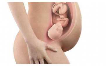 2025滄州市二醫院試管嬰兒醫生名單(附成功率排名) 2025滄州市二醫院試管嬰兒醫生名單(附成功率排名)