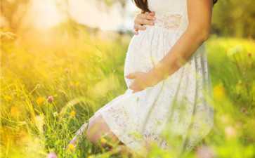 输卵管不通畅试管方案-输卵管不畅试管-代妈应聘 输卵管不通畅试管方案-输卵管不畅试管-代妈应聘