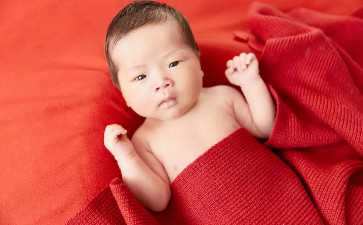 一次排两个卵泡会怀双胞胎吗是同卵双胞胎吗-试管代生哪家强