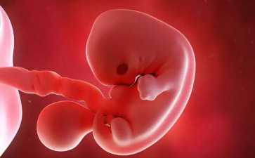 試管成功率與主治大夫也有關系！移植位置也考驗醫生手法