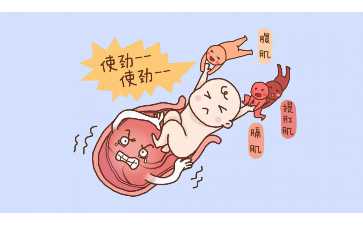 一般卵泡什么时候成熟？卵泡成熟后多久可以同房？-助孕公司官网