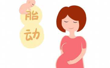 优质代妈-第三代试管婴儿中‘取卵’、‘移植’两大手术详解