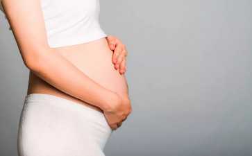 2026年上海冻卵费用明细详解：从取卵到辅助生殖保存需要多少钱？