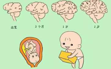 第三代试管婴儿哪个医院胚胎移植成功率最高？国内试管医院推荐？-正规代生助孕