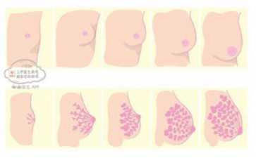 2023广州三代试管婴儿生男孩费用，私立公立差异明显