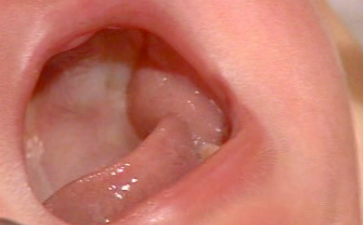 优质代妈-飞鹤高铁高钙奶粉含不含糖，飞鹤高铁高钙奶粉孕妇能喝吗