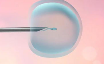 2026广州和睦家助孕供卵代生指南:解析试管婴儿技术与就医挂号流程 2026广州和睦家助孕供卵代生指南:解析试管婴儿技术与就医挂号流程