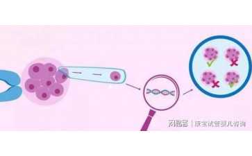 代生男孩-广州有第三代试管婴儿做吗？免排队预约？