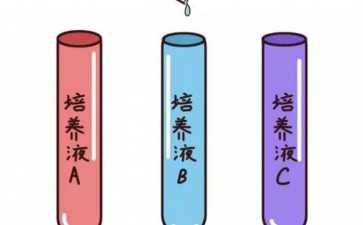 第三代试管广州市妇幼（西北妇幼三代试管）-代生男孩