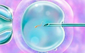 2026年深度解析:染色体异常的成因及三代试管婴儿助孕方案 2026年深度解析:染色体异常的成因及三代试管婴儿助孕方案