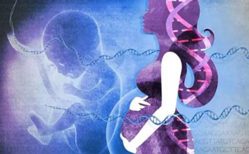 中药治疗输卵管堵塞-借卵生男孩 中药治疗输卵管堵塞-借卵生男孩