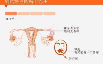 哪些人需要做卵泡监测？-借卵代生男孩