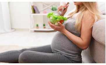 2026年试管婴儿移植后吃西柚对胚胎着床有帮助吗？深度解析辅助生殖饮食调理