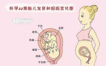 广州第三代试管婴儿怎么做的全过程，试管详细流程！-代怀多少钱